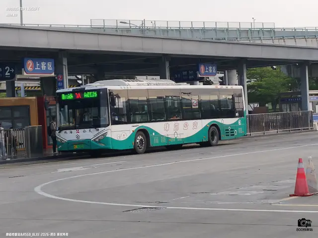 粤C 00280D