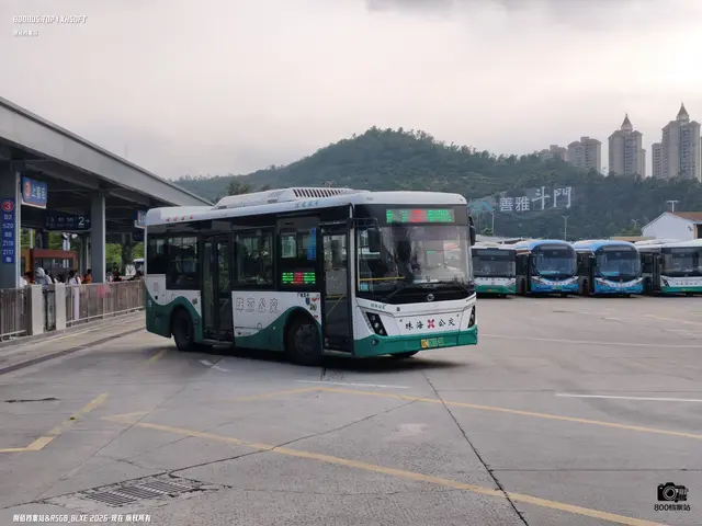 粤C 06183D