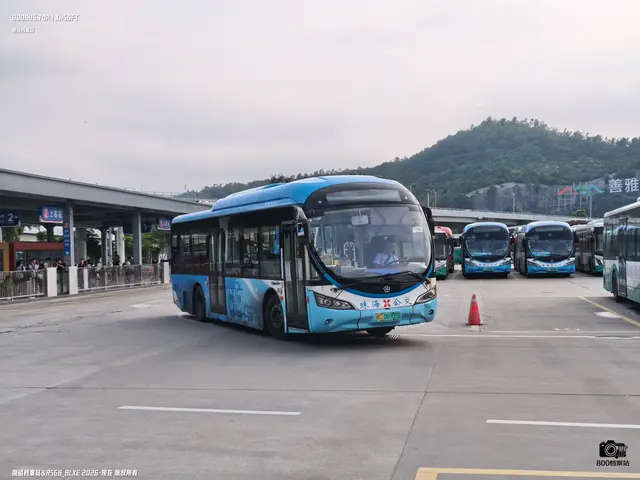 粤C 06902D