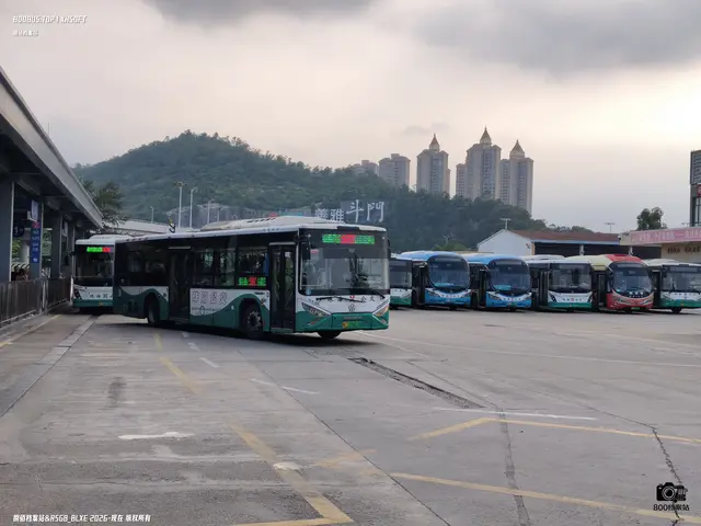粤C 03881D