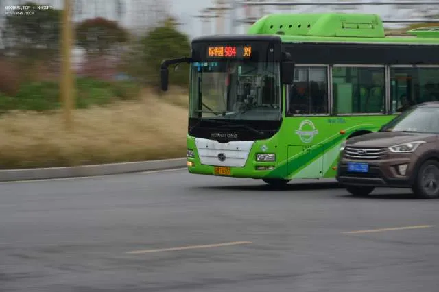 渝BT6972