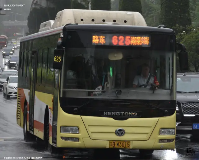 渝B W3015