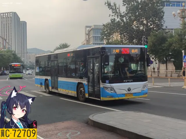 800BUS