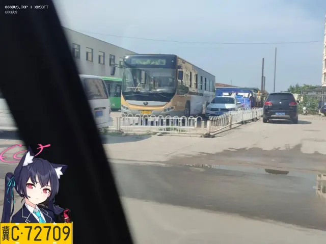 800BUS