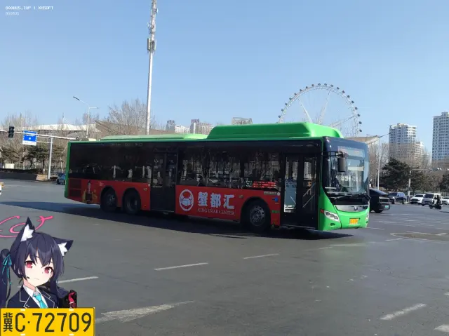 800BUS