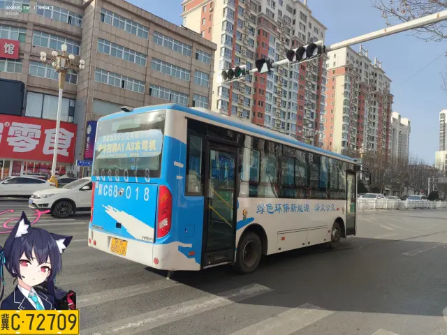800BUS