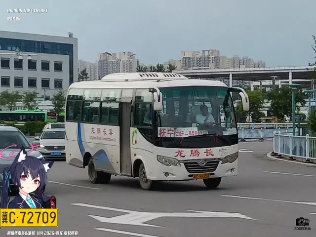 冀C 39258