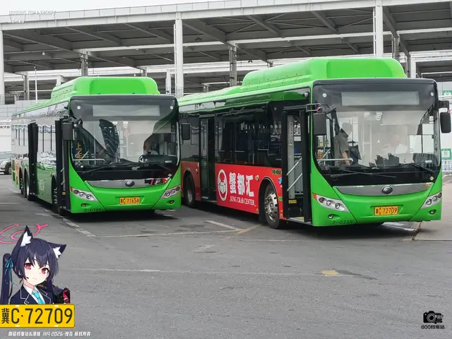 冀C 72709 冀C 77658