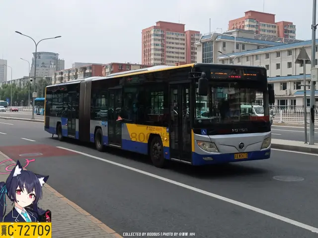 800BUS