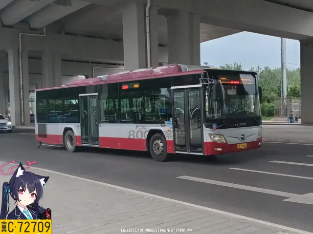 800BUS
