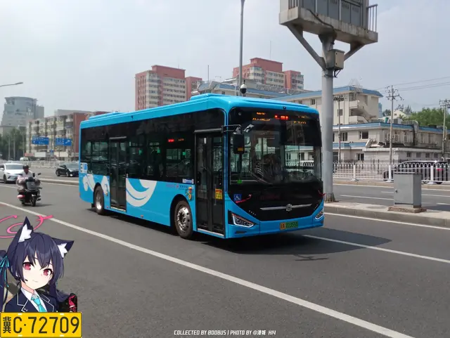 800BUS