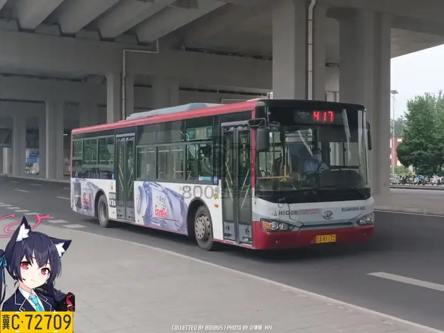 800BUS