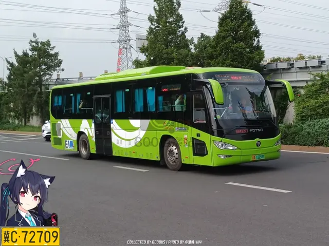 800BUS