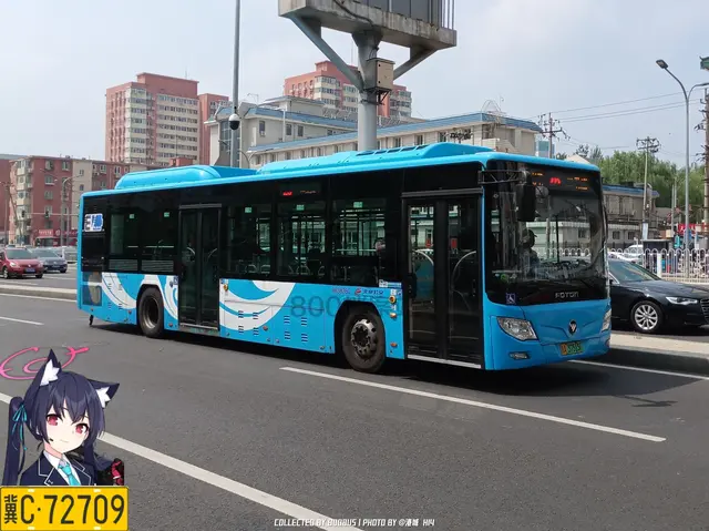 800BUS