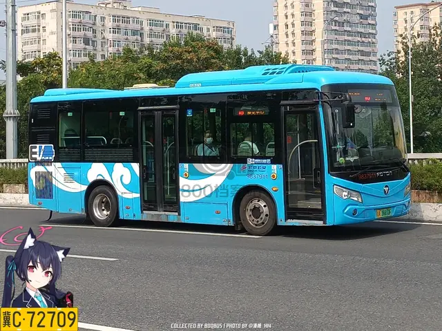 800BUS