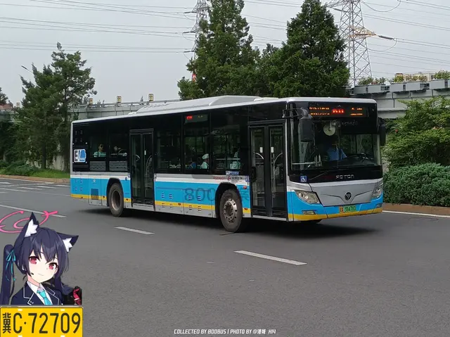800BUS