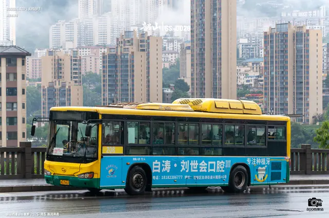 800BUS
