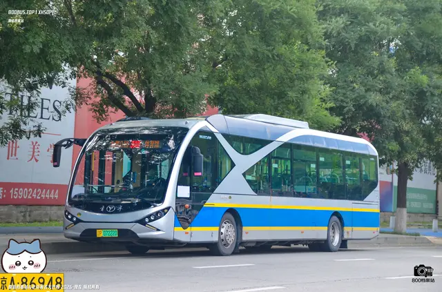 800BUS