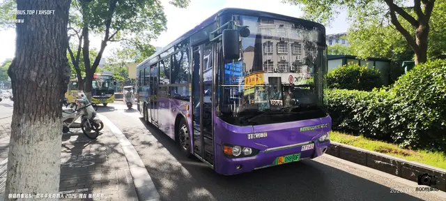 苏L 09890F