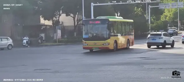 800BUS