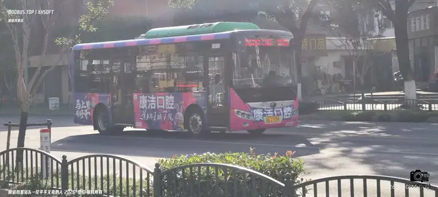 800BUS