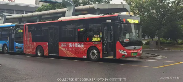 800BUS