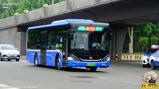 冀A 07303D
