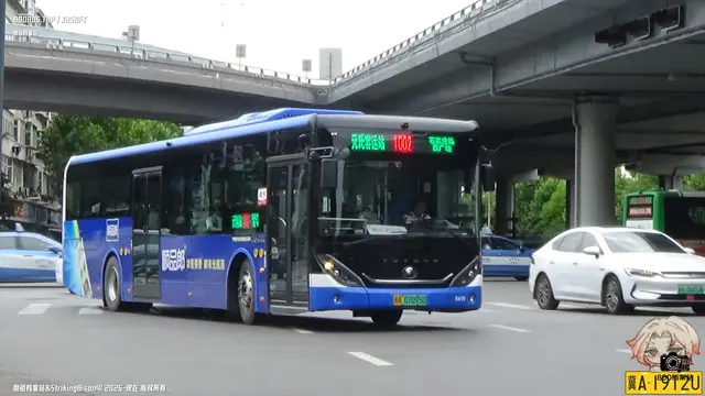 冀A 07095D