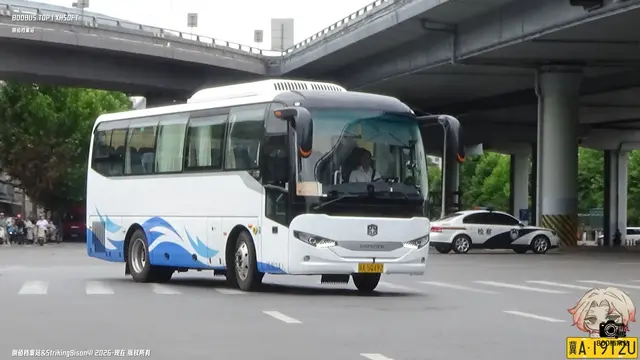 冀A 5Q49Z