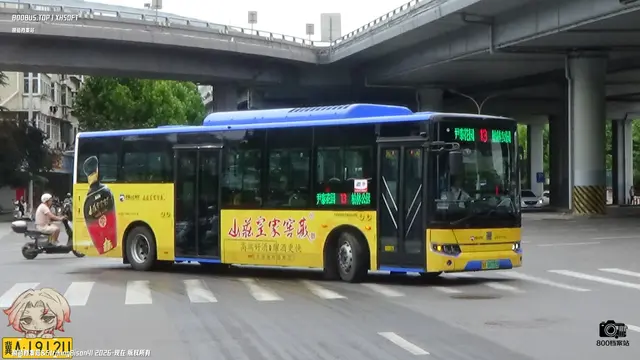 冀A 09732D