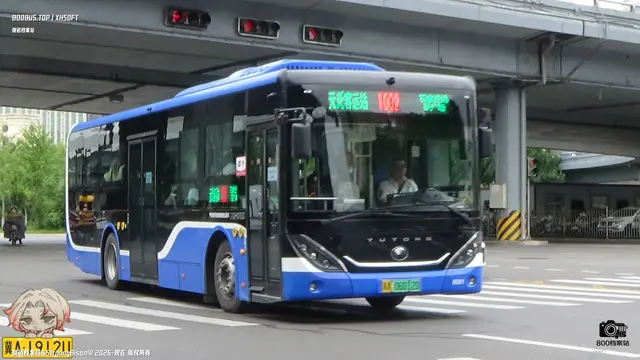 冀A 06012D