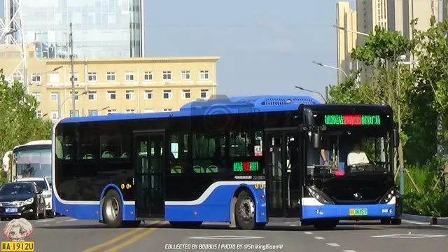 800BUS