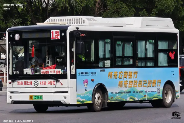 800BUS