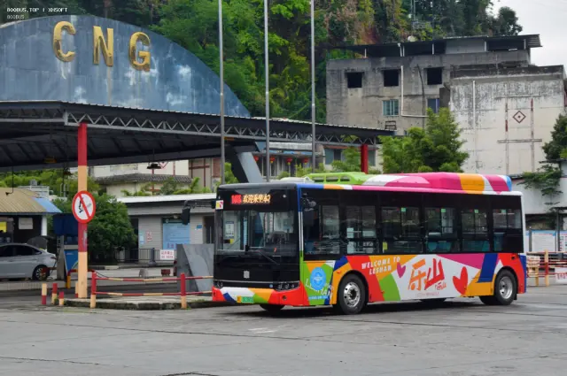 800BUS