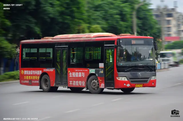 川M 29023