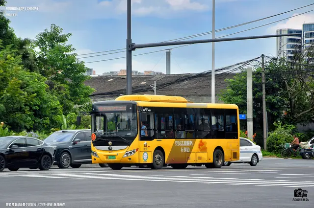 800BUS