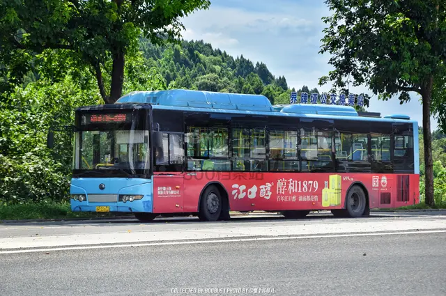 川R 53402