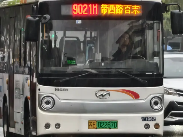 800BUS