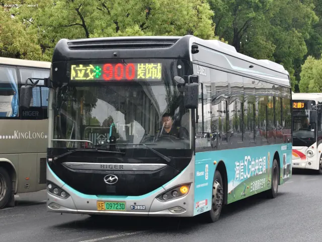 800BUS