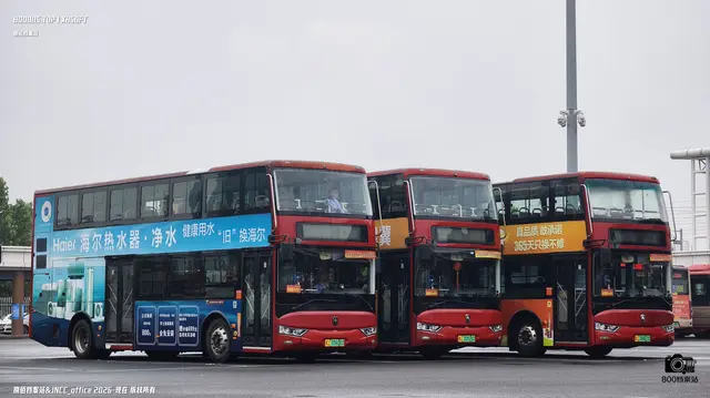 冀J0593D 冀J00562D 冀J06663D