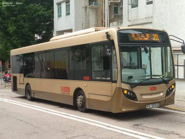 PZ 9554