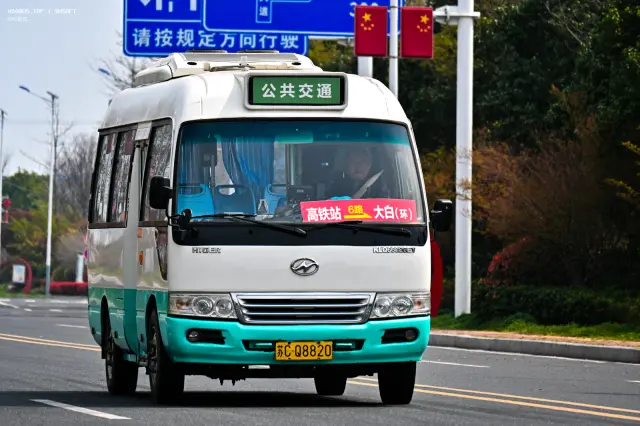 800BUS
