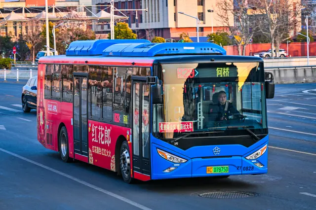 苏C·07875D/ZT0828