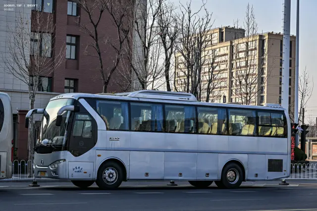 800BUS