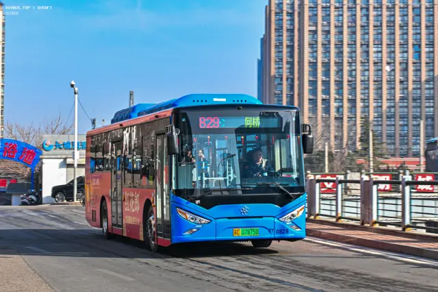 苏C·07875D/ZT0828