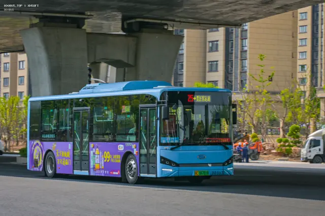800BUS