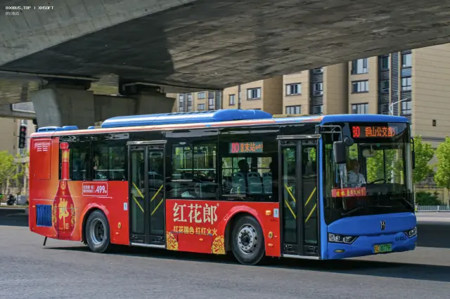 800BUS