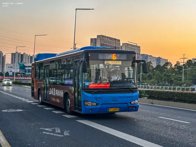 800BUS