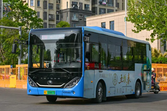 800BUS