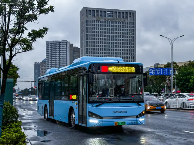 800BUS